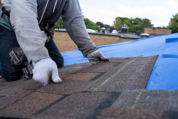 Best Roof Restoration Services  in Ina, IL