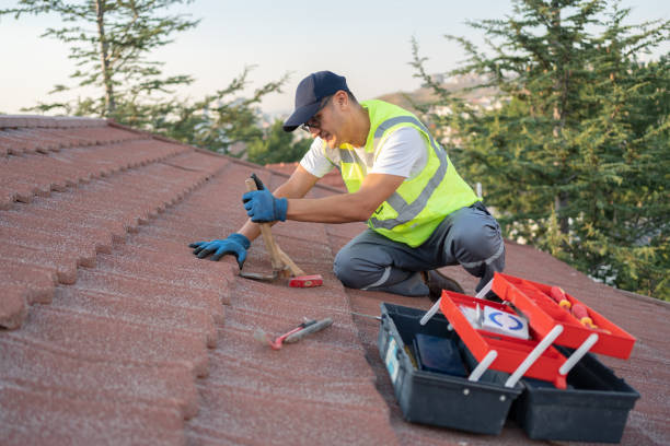 Best Best Roofing Contractors  in Ina, IL