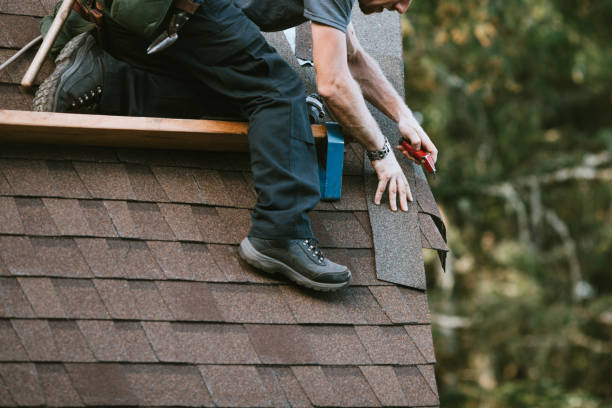 Best Storm Damage Roof Repair  in Ina, IL